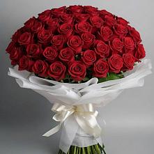 Букет 101 Красная роза Блэк Мэджик в Кабаново