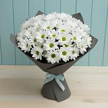 Букет цветов из:  Хризантемы #REPLACE_PRED# Кабаново
