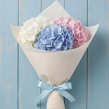 Букет цветов из:  Гортензия в Кабаново