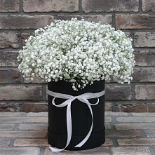 Цветочная композиция из Гипсофила в шляпной коробке в Кабаново
